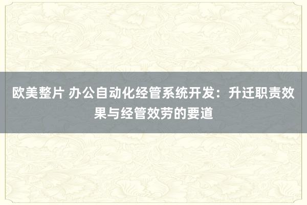 欧美整片 办公自动化经管系统开发：升迁职责效果与经管效劳的要道