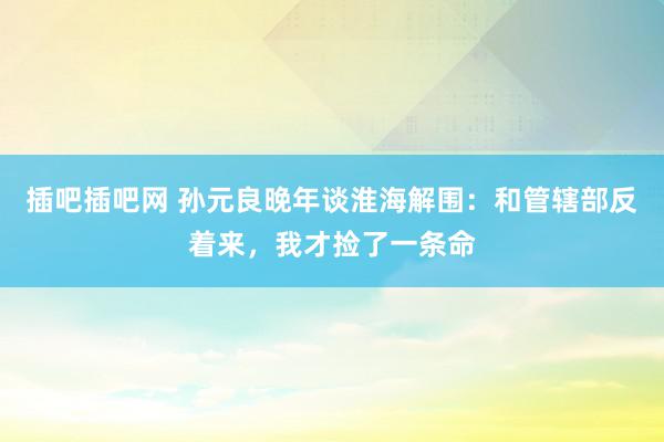 插吧插吧网 孙元良晚年谈淮海解围：和管辖部反着来，我才捡了一条命