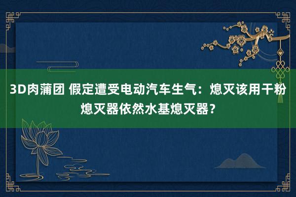 3D肉蒲团 假定遭受电动汽车生气：熄灭该用干粉熄灭器依然水基熄灭器？