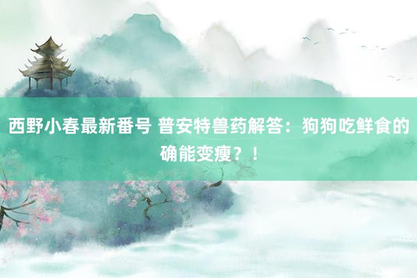 西野小春最新番号 普安特兽药解答：狗狗吃鲜食的确能变瘦？！