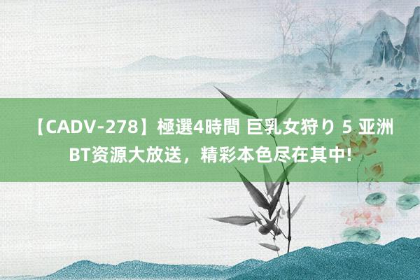 【CADV-278】極選4時間 巨乳女狩り 5 亚洲BT资源大放送，精彩本色尽在其中!