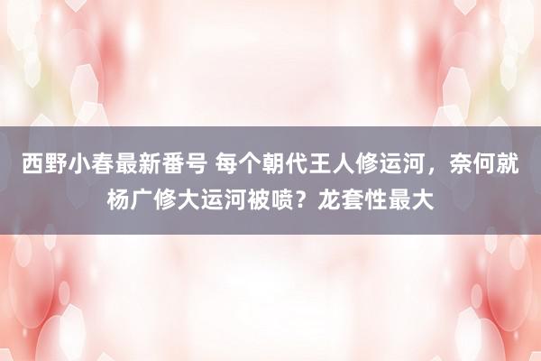 西野小春最新番号 每个朝代王人修运河，奈何就杨广修大运河被喷？龙套性最大