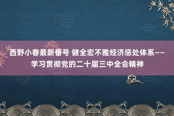 西野小春最新番号 健全宏不雅经济惩处体系——学习贯彻党的二十届三中全会精神