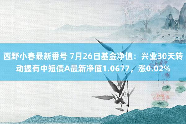 西野小春最新番号 7月26日基金净值：兴业30天转动握有中短债A最新净值1.0677，涨0.02%