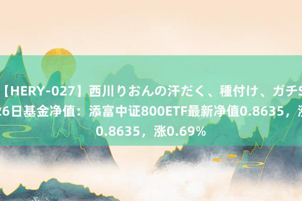 【HERY-027】西川りおんの汗だく、種付け、ガチSEX 7月26日基金净值：添富中证800ETF最新净值0.8635，涨0.69%