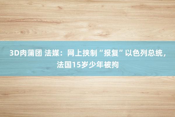 3D肉蒲团 法媒：网上挟制“报复”以色列总统，法国15岁少年被拘