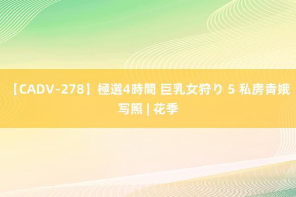 【CADV-278】極選4時間 巨乳女狩り 5 私房青娥写照 | 花季