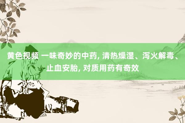 黄色视频 一味奇妙的中药, 清热燥湿、泻火解毒、止血安胎, 对质用药有奇效