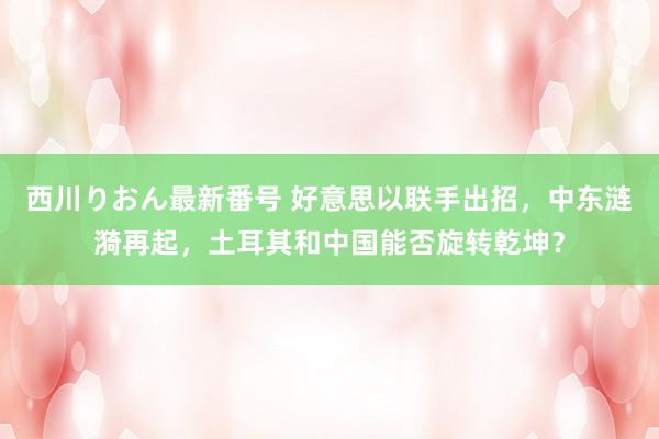 西川りおん最新番号 好意思以联手出招，中东涟漪再起，土耳其和中国能否旋转乾坤？