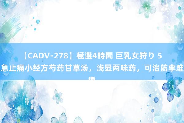 【CADV-278】極選4時間 巨乳女狩り 5 缓急止痛小经方芍药甘草汤，浅显两味药，可治筋挛难堪