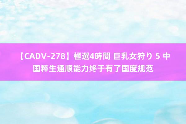 【CADV-278】極選4時間 巨乳女狩り 5 中国粹生通顺能力终于有了国度规范