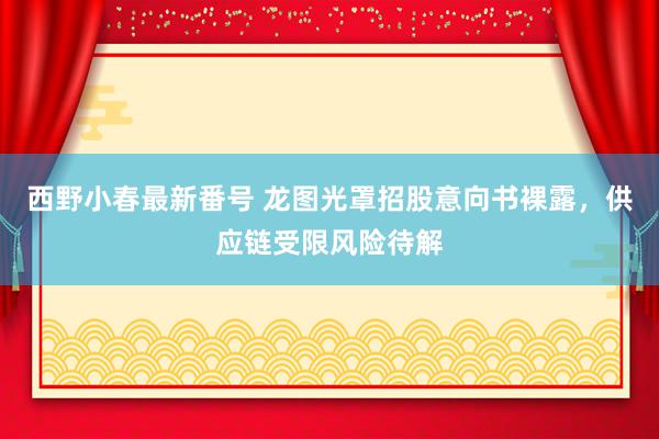 西野小春最新番号 龙图光罩招股意向书裸露，供应链受限风险待解