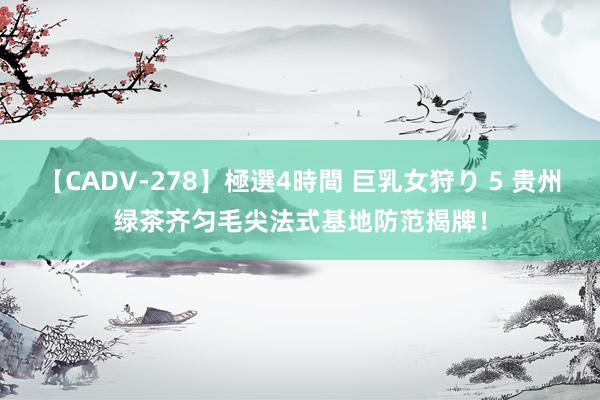 【CADV-278】極選4時間 巨乳女狩り 5 贵州绿茶齐匀毛尖法式基地防范揭牌！