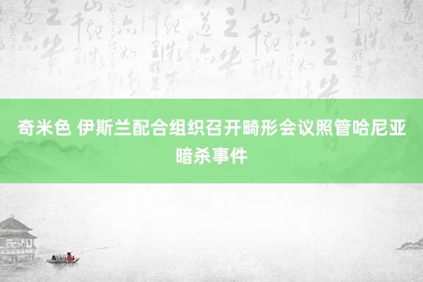 奇米色 伊斯兰配合组织召开畸形会议照管哈尼亚暗杀事件