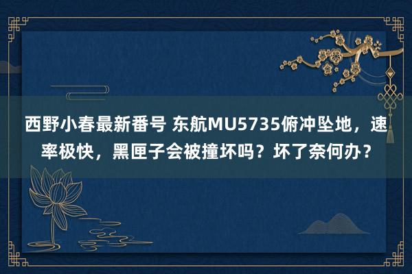 西野小春最新番号 东航MU5735俯冲坠地，速率极快，黑匣子会被撞坏吗？坏了奈何办？