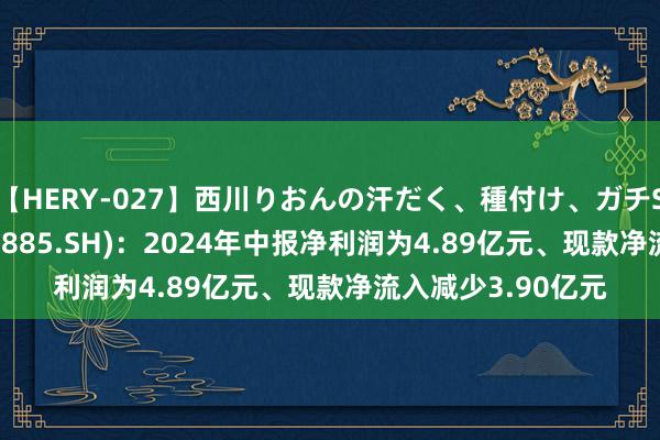 【HERY-027】西川りおんの汗だく、種付け、ガチSEX 祯祥航空(603885.SH)：2024年中报净利润为4.89亿元、现款净流入减少3.90亿元