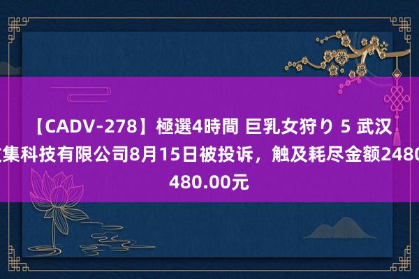 【CADV-278】極選4時間 巨乳女狩り 5 武汉栩程收集科技有限公司8月15日被投诉，触及耗尽金额2480.00元