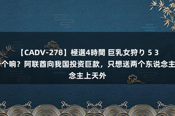 【CADV-278】極選4時間 巨乳女狩り 5 300亿听个响？阿联酋向我国投资巨款，只想送两个东说念主上天外