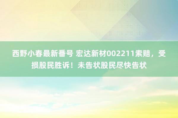 西野小春最新番号 宏达新材002211索赔，受损股民胜诉！未告状股民尽快告状