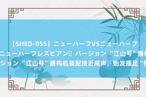 【SHED-055】ニューハーフVSニューハーフ 不純同性肛遊 2 魅惑のニューハーフレズビアン・バージョン “江山号”盾构机装配接近尾声，始发插足“倒计时”