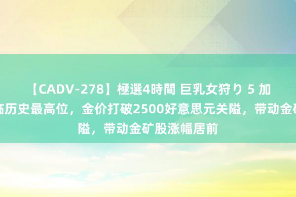 【CADV-278】極選4時間 巨乳女狩り 5 加拿大股指面临历史最高位，金价打破2500好意思元关隘，带动金矿股涨幅居前