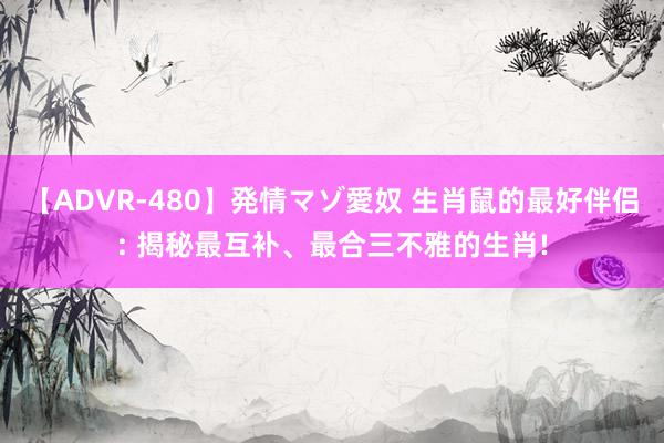 【ADVR-480】発情マゾ愛奴 生肖鼠的最好伴侣: 揭秘最互补、最合三不雅的生肖!