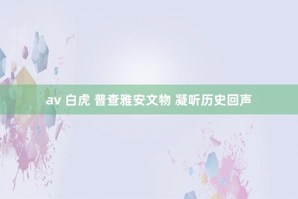 av 白虎 普查雅安文物 凝听历史回声