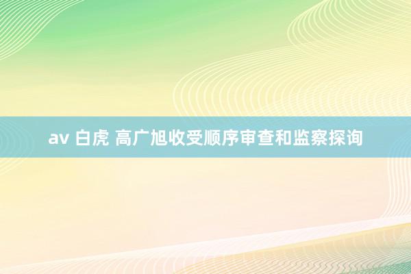 av 白虎 高广旭收受顺序审查和监察探询