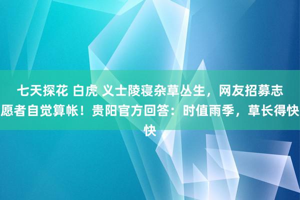 七天探花 白虎 义士陵寝杂草丛生，网友招募志愿者自觉算帐！贵阳官方回答：时值雨季，草长得快