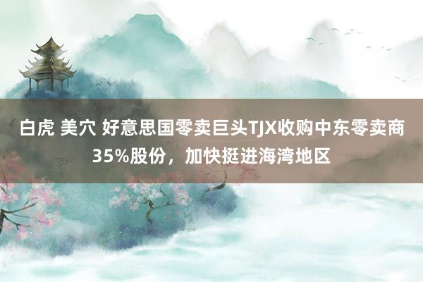 白虎 美穴 好意思国零卖巨头TJX收购中东零卖商35%股份，加快挺进海湾地区