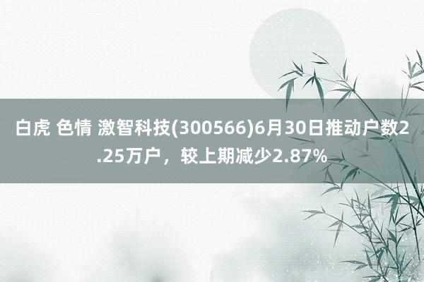 白虎 色情 激智科技(300566)6月30日推动户数2.25万户，较上期减少2.87%