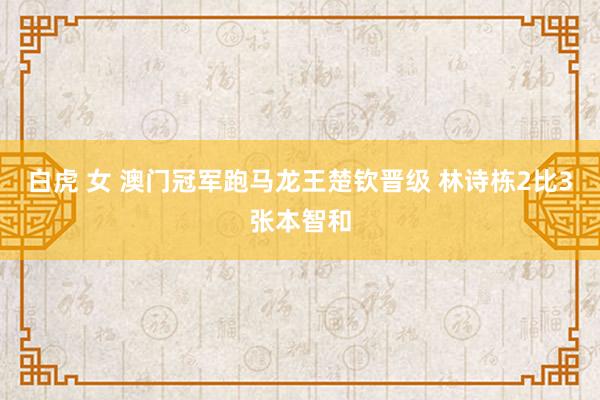 白虎 女 澳门冠军跑马龙王楚钦晋级 林诗栋2比3张本智和